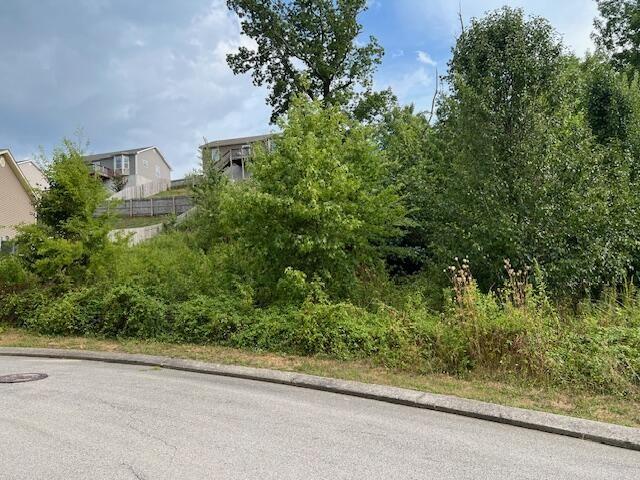 16981704 Short Leaf Ln, Soddy Daisy, TN 37379 - photo 1