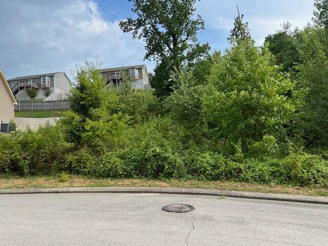 17101716 Short Leaf Ln, Soddy Daisy, TN 37379 - photo 1