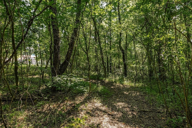 548 Horseshoe Bend Ln, Elmwood, TN 38560 - photo 23