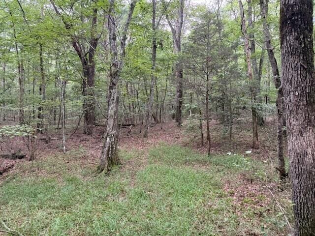 123 Timberwood Trce, Monteagle, TN 37356 - photo 9