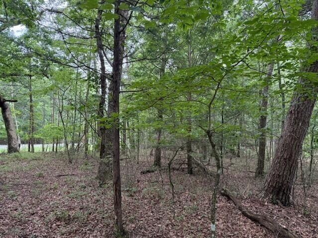 123 Timberwood Trce, Monteagle, TN 37356 - photo 13
