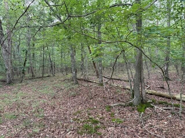 123 Timberwood Trce, Monteagle, TN 37356 - photo 16