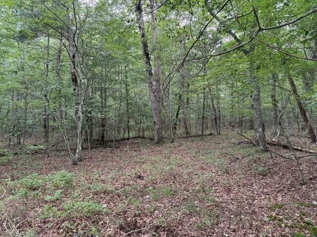 123 Timberwood Trce, Monteagle, TN 37356 - photo 15