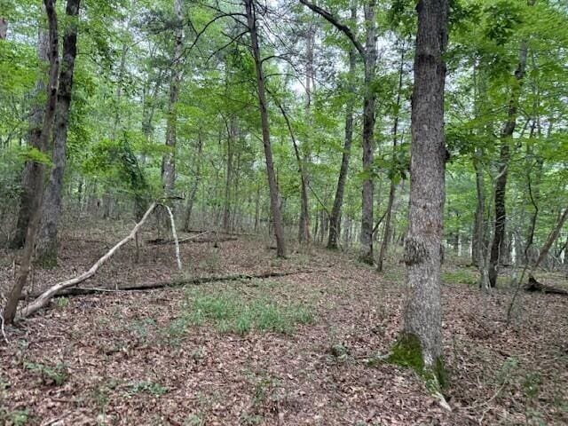 123 Timberwood Trce, Monteagle, TN 37356 - photo 11