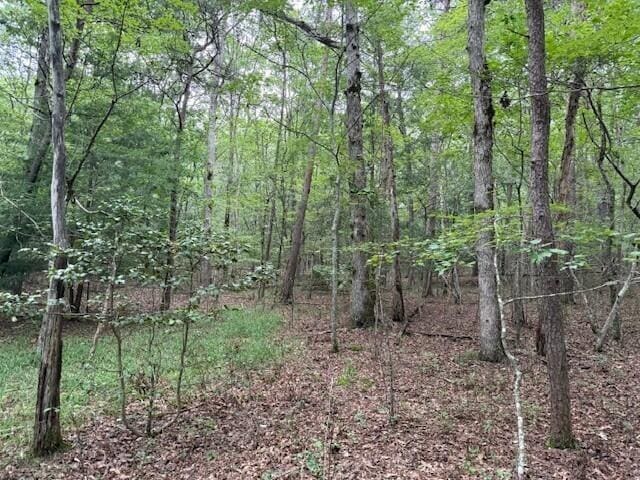 123 Timberwood Trce, Monteagle, TN 37356 - photo 8