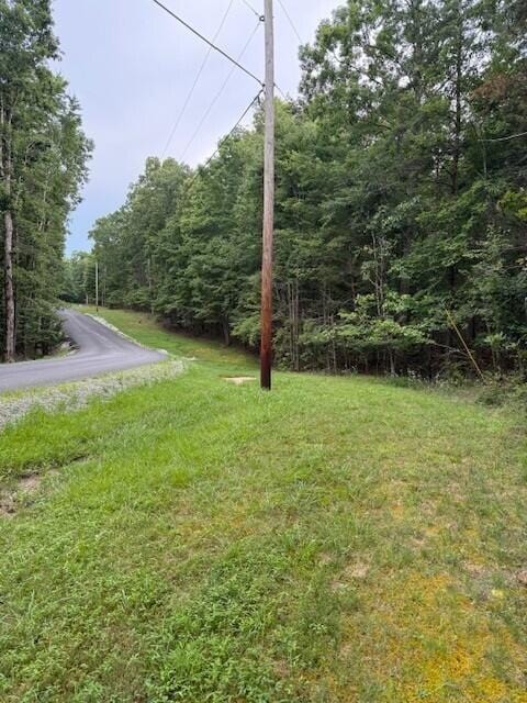 123 Timberwood Trce, Monteagle, TN 37356 - photo 21