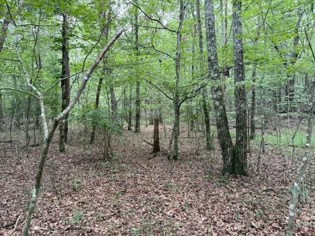 123 Timberwood Trce, Monteagle, TN 37356 - photo 12