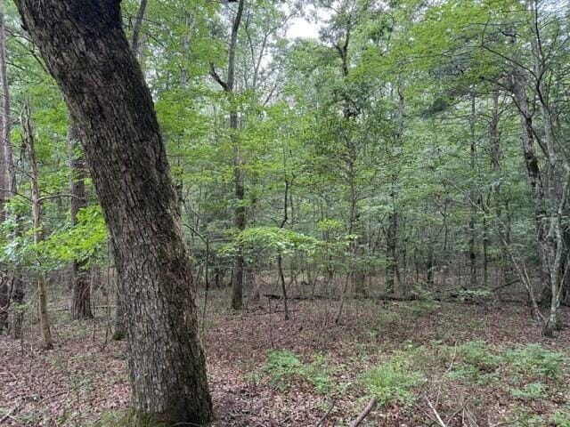 123 Timberwood Trce, Monteagle, TN 37356 - photo 14