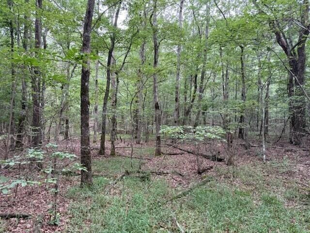 123 Timberwood Trce, Monteagle, TN 37356 - photo 10