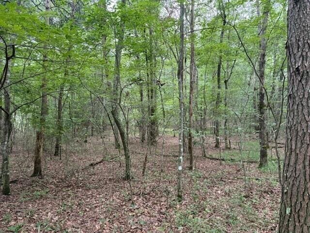 123 Timberwood Trce, Monteagle, TN 37356 - photo 19