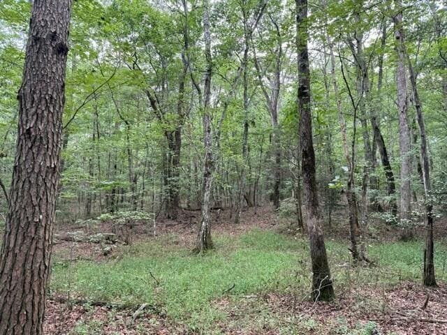 123 Timberwood Trce, Monteagle, TN 37356 - photo 18