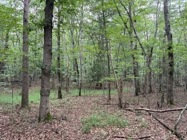 123 Timberwood Trce, Monteagle, TN 37356 - photo 17
