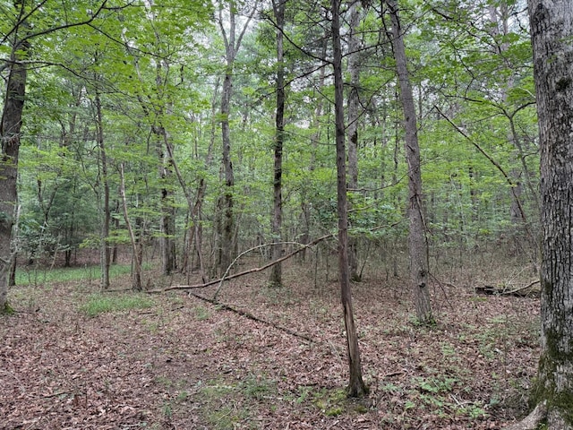 123 Timberwood Trce, Monteagle, TN 37356 - photo 6