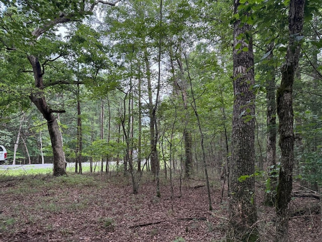 123 Timberwood Trce, Monteagle, TN 37356 - photo 7
