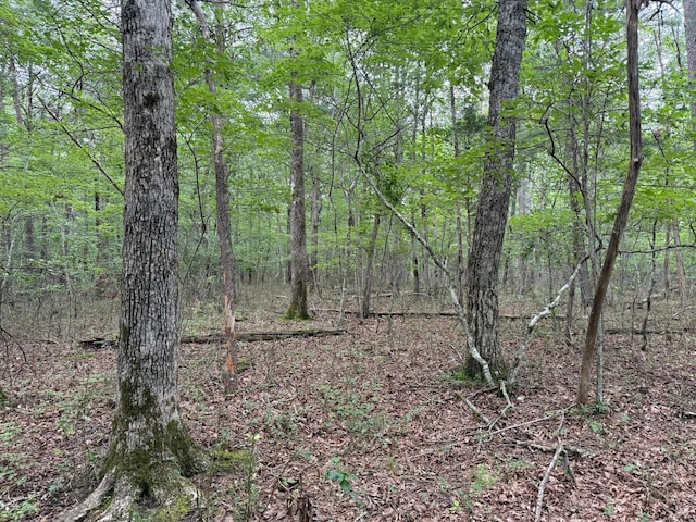 123 Timberwood Trce, Monteagle, TN 37356 - photo 4