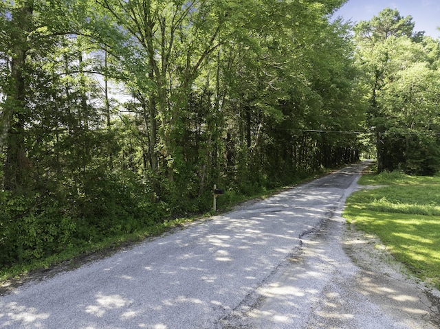 0 Spence Store Loop, Holladay, TN 38341 - photo 12
