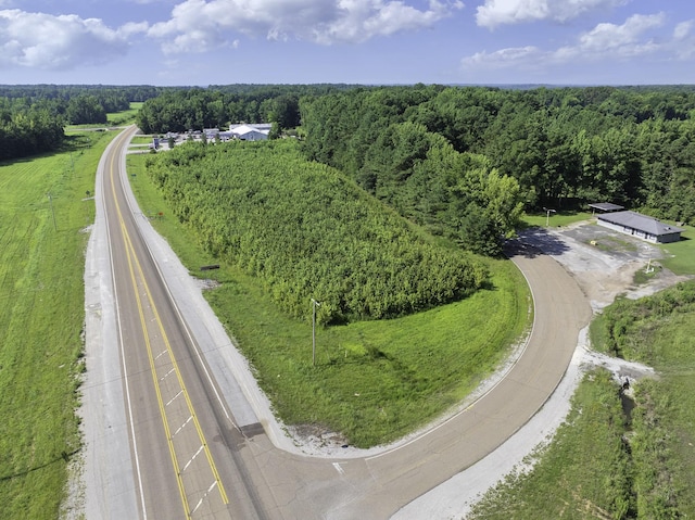 0 Spence Store Loop, Holladay, TN 38341 - photo 11
