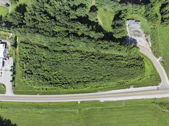 0 Spence Store Loop, Holladay, TN 38341 - photo 7