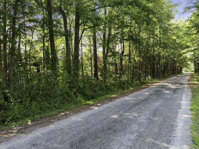 0 Spence Store Loop, Holladay, TN 38341 - photo 13