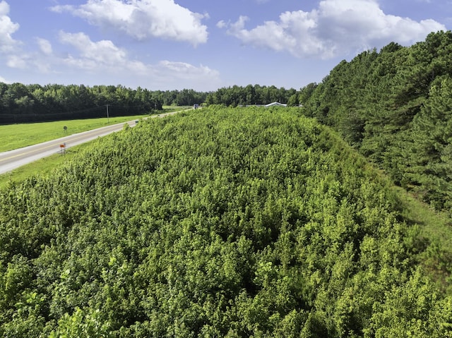0 Spence Store Loop, Holladay, TN 38341 - photo 14