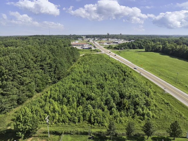 0 Spence Store Loop, Holladay, TN 38341 - photo 15