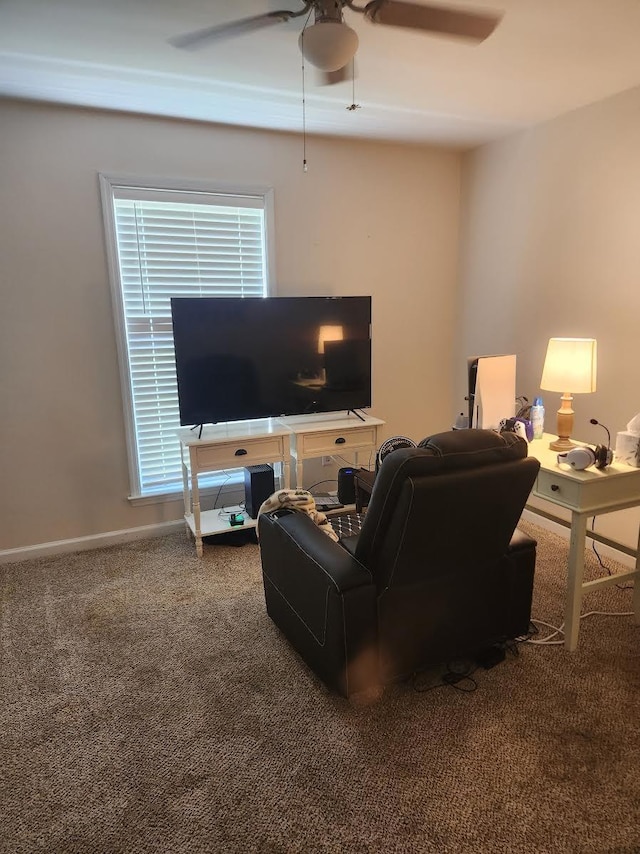 36 White Oak Dr, Leoma, TN 38468 - photo 13