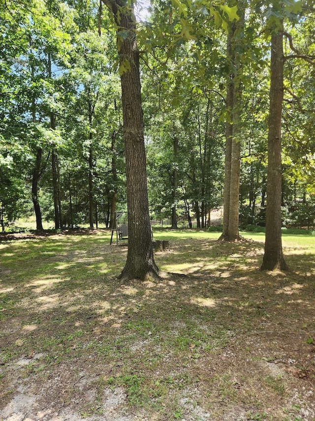 36 White Oak Dr, Leoma, TN 38468 - photo 19