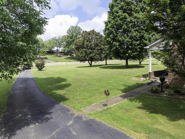 738 N Broad St, Lexington, TN 38351 - photo 15
