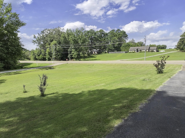 738 N Broad St, Lexington, TN 38351 - photo 16