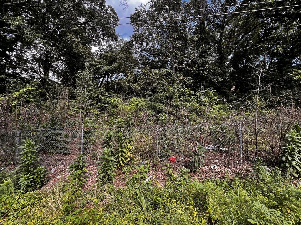 6 Carver St, Chattanooga, TN 37421 - photo 3