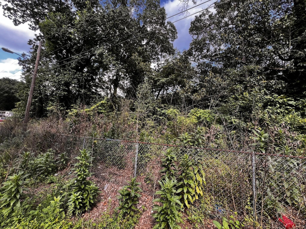 1810 Carver St, Chattanooga, TN 37421 - photo 2