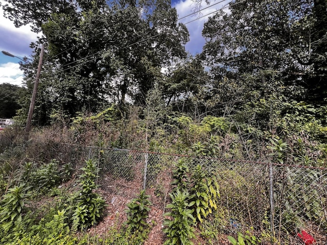 1810 Carver St, Chattanooga, TN 37421 - photo 2