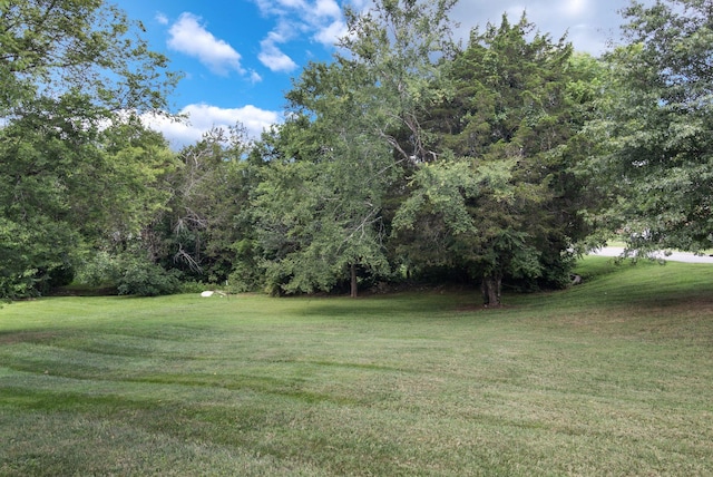 800 Evan Ct, Mount Juliet, TN 37122 - photo 50