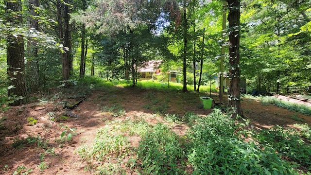 7992 Primm Springs Rd, Primm Springs, TN 38476 - photo 10