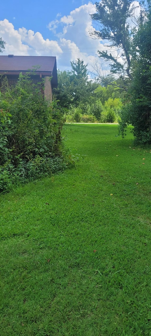 7109 King Rd, Fairview, TN 37062 - photo 10