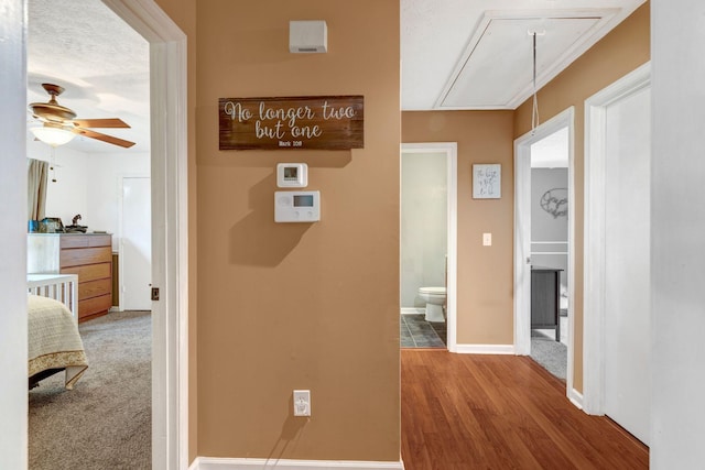 3205 Dockside Dr, Hermitage, TN 37076 - photo 16