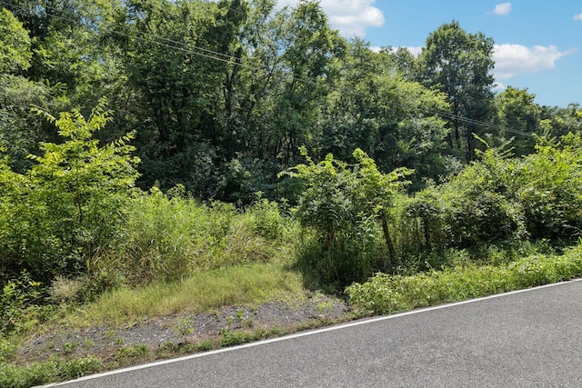 0 Fort Blount Rd, Hartsville, TN 37074 - photo 17
