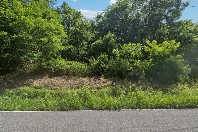 0 Fort Blount Rd, Hartsville, TN 37074 - photo 16