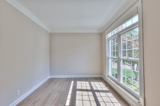 1223 Limerick Ln, Franklin, TN 37067 - photo 9