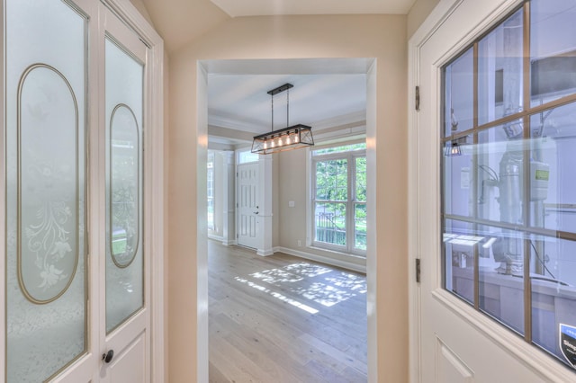 1223 Limerick Ln, Franklin, TN 37067 - photo 21