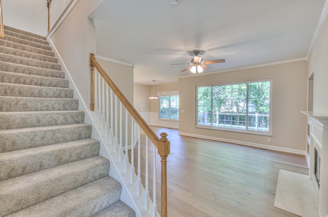 1223 Limerick Ln, Franklin, TN 37067 - photo 27