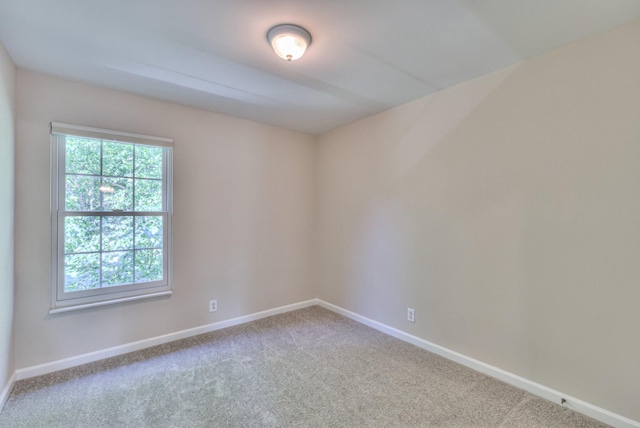 1223 Limerick Ln, Franklin, TN 37067 - photo 51