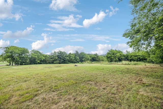 6814 Halls Hill Pike, Murfreesboro, TN 37130 - photo 41