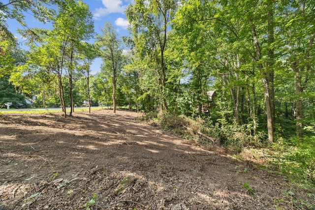 0 Tanglewood Dr, Pegram, TN 37143 - photo 3