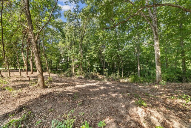 0 Tanglewood Dr, Pegram, TN 37143 - photo 1