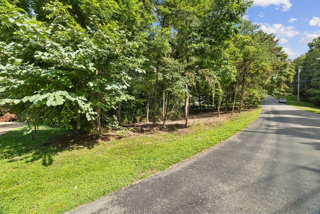 0 Tanglewood Dr, Pegram, TN 37143 - photo 4