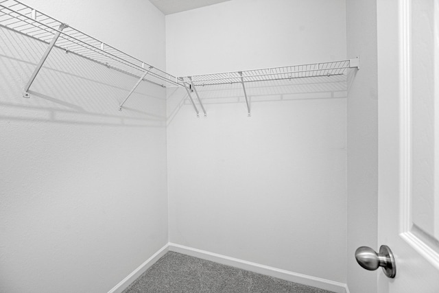 3162 Prater Ct, Murfreesboro, TN 37128 - photo 16