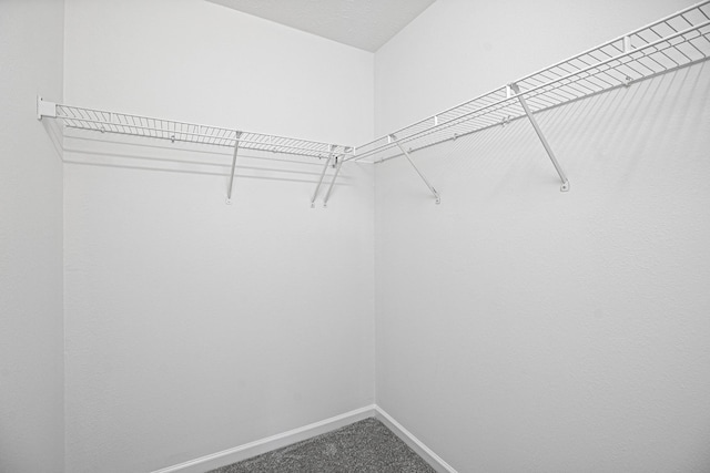 3162 Prater Ct, Murfreesboro, TN 37128 - photo 21