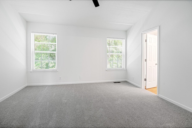 3162 Prater Ct, Murfreesboro, TN 37128 - photo 13