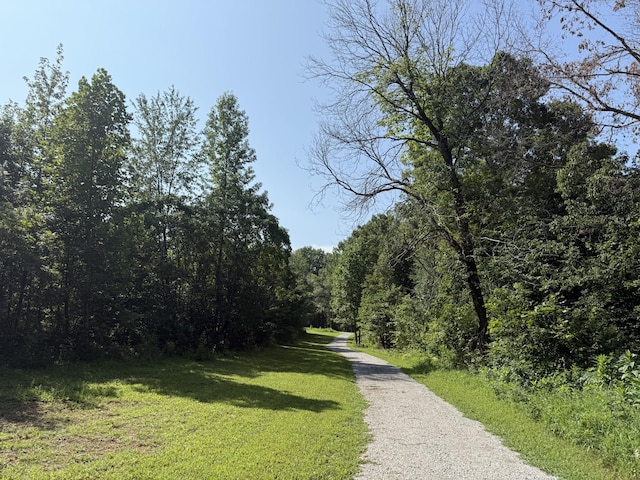 313 Loveless Ln, Manchester, TN 37355 - photo 7